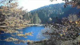 I JUST DROPPED IN TO SAY GOODBYE - Andy H Weaver