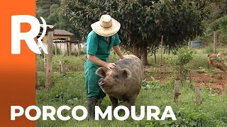 Miniatura do vídeo