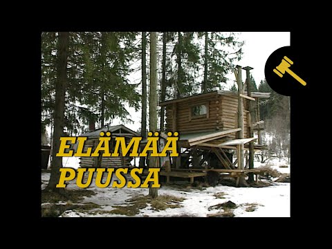 Elämää puussa | Karpolla on asiaa
