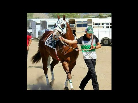 CORRIDO DEL PANAMÁ WES- GRUPO LABERINTO