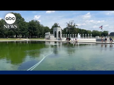 Algae problem plagues Reflecting Pool in D.C.