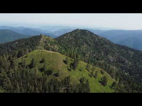 Spomenik prirode Tajan | Planina Tajan