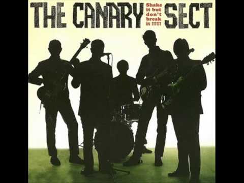THE CANARY SECT - shake it but don't break it
