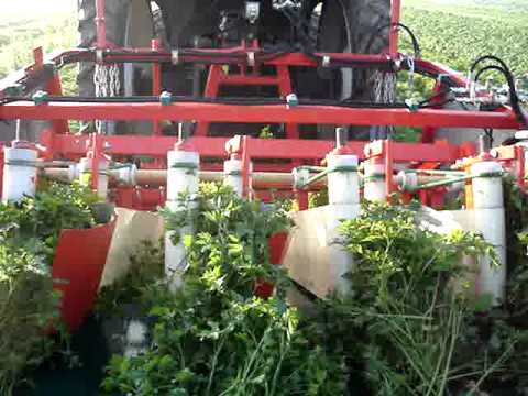 Simon Machines Parsley Harvester 2