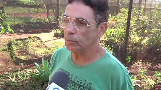 Miniatura do vídeo