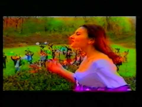 Hit Shark SN _Siz uchun