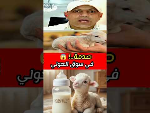 الشناقة وصلوا لبيع الحولية الرضيعة! في عيد الأضحى 2026 😱