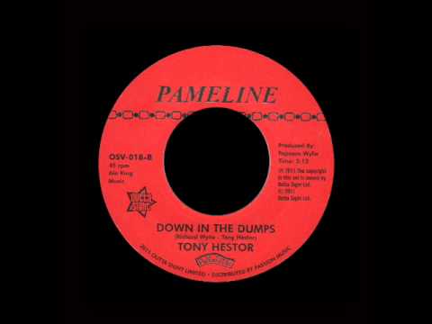 Tony Hestor - Down In The Dumps