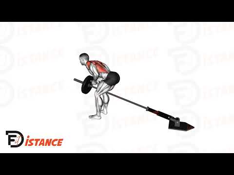 Rowing à la landmine - Exercice Rowing à la landmine en vidéo