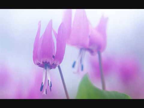 Thumbnail for Love video