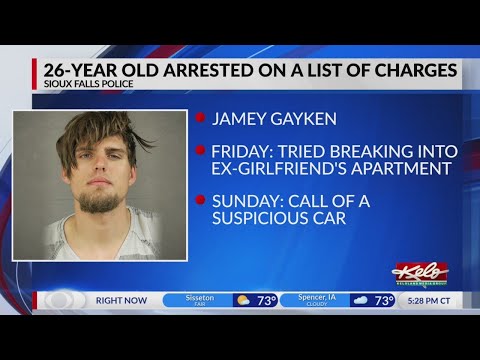 SF man facing escape, resisting arrest, reckless burning and intentional destruction of property cha