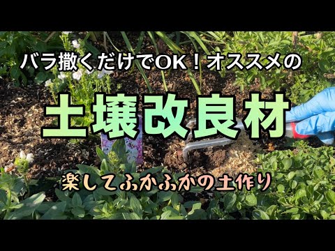 土壌疲労:バラが育たないとき 庭の練習