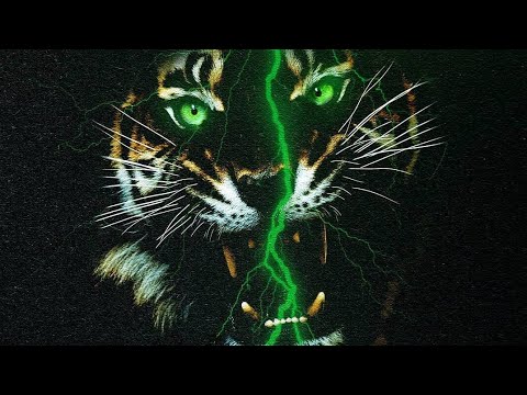 Snoozy The Sage - Eyez Of The Tiger