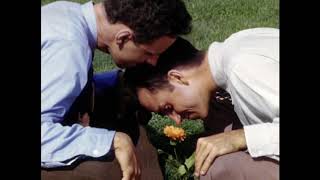 MAGAZINE – A SONG FROM UNDER THE FLOORBOARDS