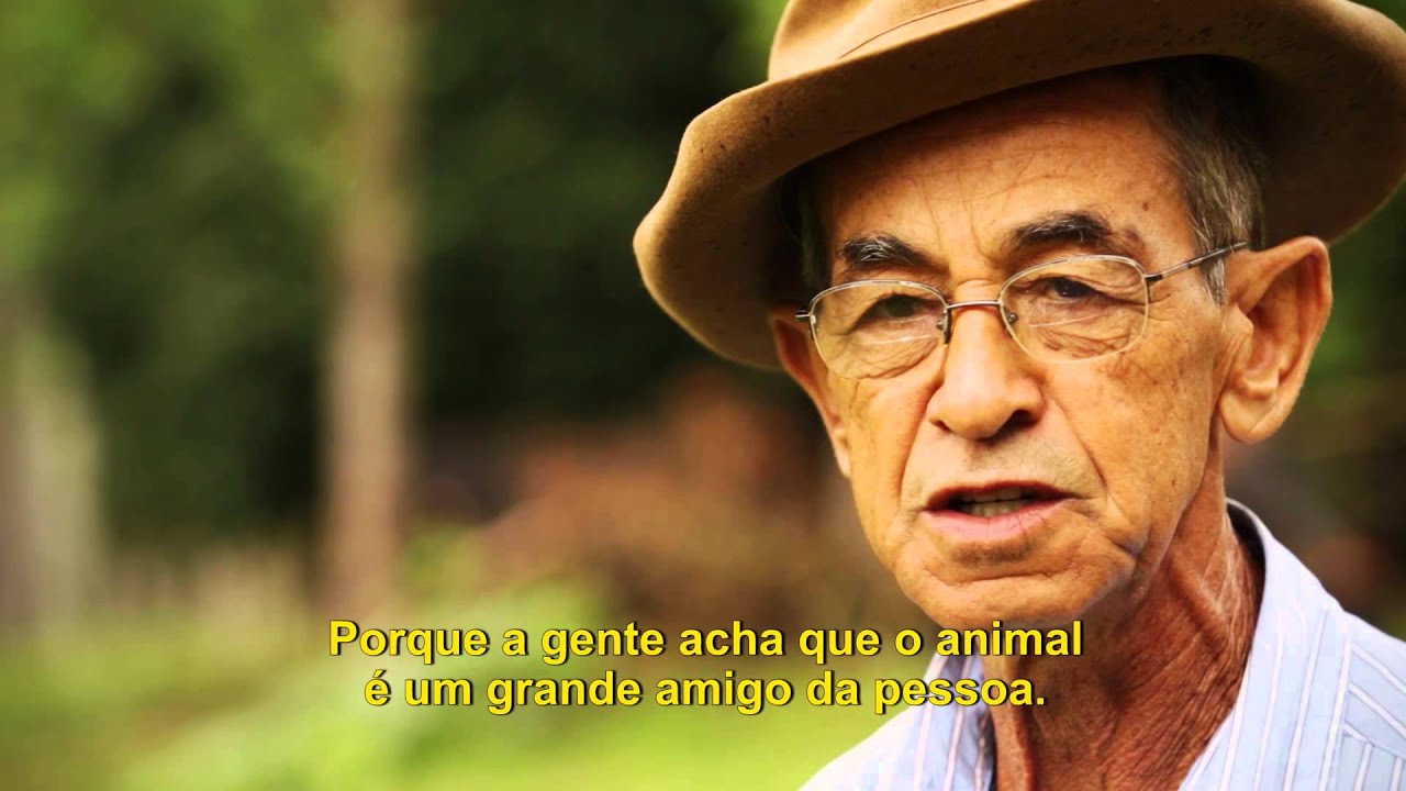 Queijo Canastra | FIlme/Documentário