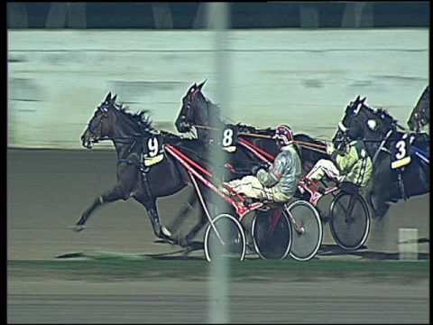 Trotto 18/10/2016 - 8ª corsa