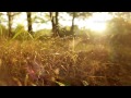 relaxdaily N°062 – Красивая, медленная инструментальная музыка – для ...
