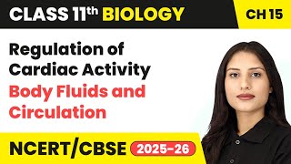 Regulation of Cardiac Activity - Body Fluids and Circulation | Class 11 Biology Ch 15 | CBSE 2024-25