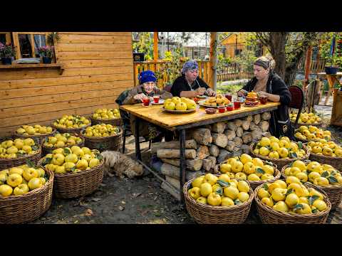 Harvesting Fresh Quince | Cozy Homemade Compote, Jam & Creamy Dessert Recipe