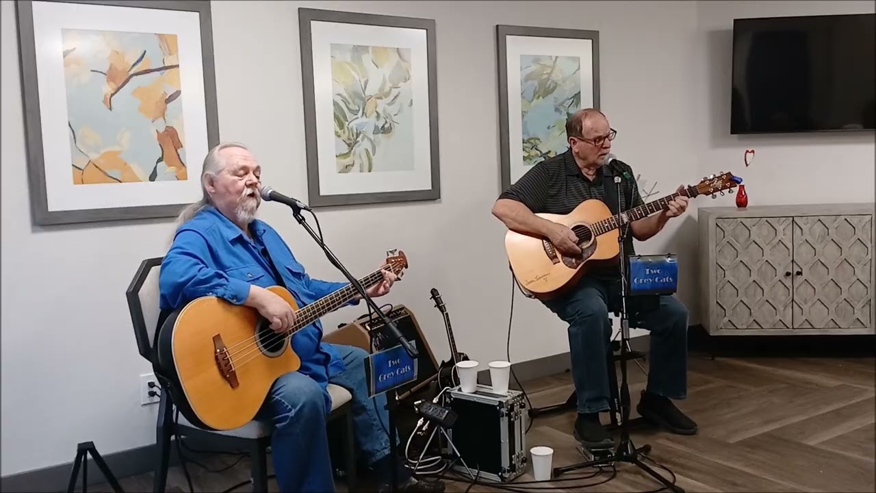 Promotional video thumbnail 2 for Two Grey Cats