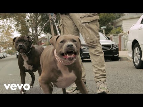 Kashna - Wild Wild West (Official Video) ft. Prince Pin