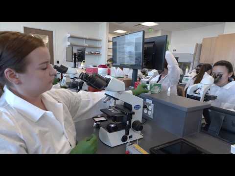 A Look Inside the VCU College of Health Professions