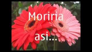 ♪ღ♪ TODO LO QUE HAGO LO HAGO POR TI ♪ღ♪ &quot;YURIDIA&quot;