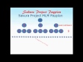 What Is MLM What Is Spillover