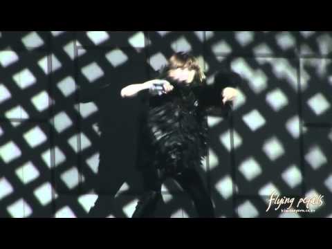 [Fancam][HD] 110604 Run Devil Run (Rock Intro) - Taeyeon (Saitama concert) (flying petals)