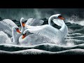 Exploring Celtic Mythology: Children of Lir