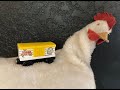 Sodor Poultry Toy Train Chicken Car Making Fun Clucking Noises