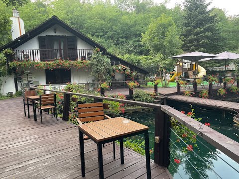 [TRAVEL] Casa din pădure, Runcu, Jud. Gorj