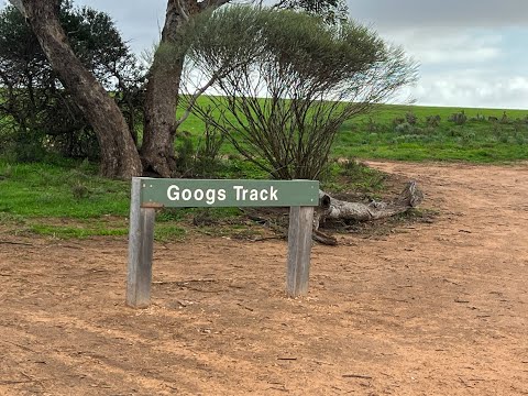 Ultimate Googs Tour
