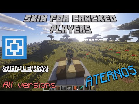 CegamerWp - How to change skins on Aternos Minecraft server (SkinRestorer) Cracked - SP