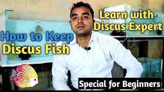 How to keep Discus Fish Special for beginners||Best discus gallery in Delhi Discus Magic||discusfish