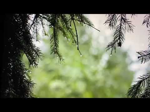 Evan Craft, Danny Gokey, Redimi2 - Be Alright/Todo Va A Estar Bien