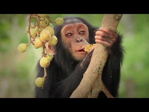 Developing the Next Generation of Conservationists