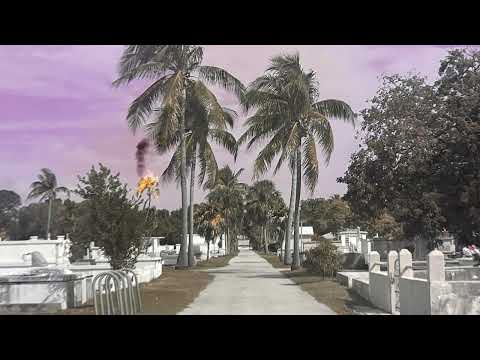 Wedge - The Dopamines