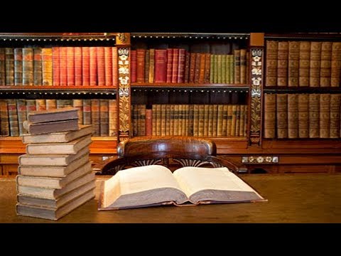 Xenius (1/5) Was leisten Zoos heute? (HD - Doku)