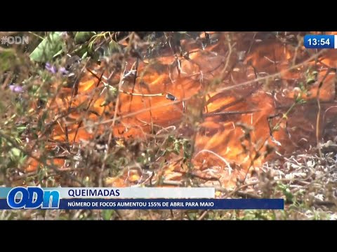 Número de focos de queimadas aumenta 155% entre Abril e Maio 01 06 2021