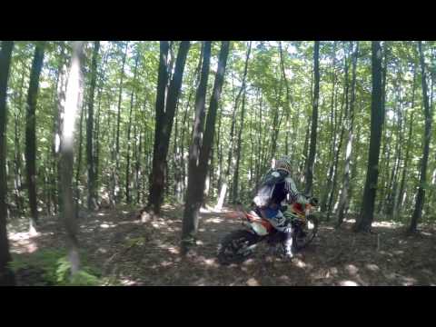 Plopu 07.07.2017 - 2