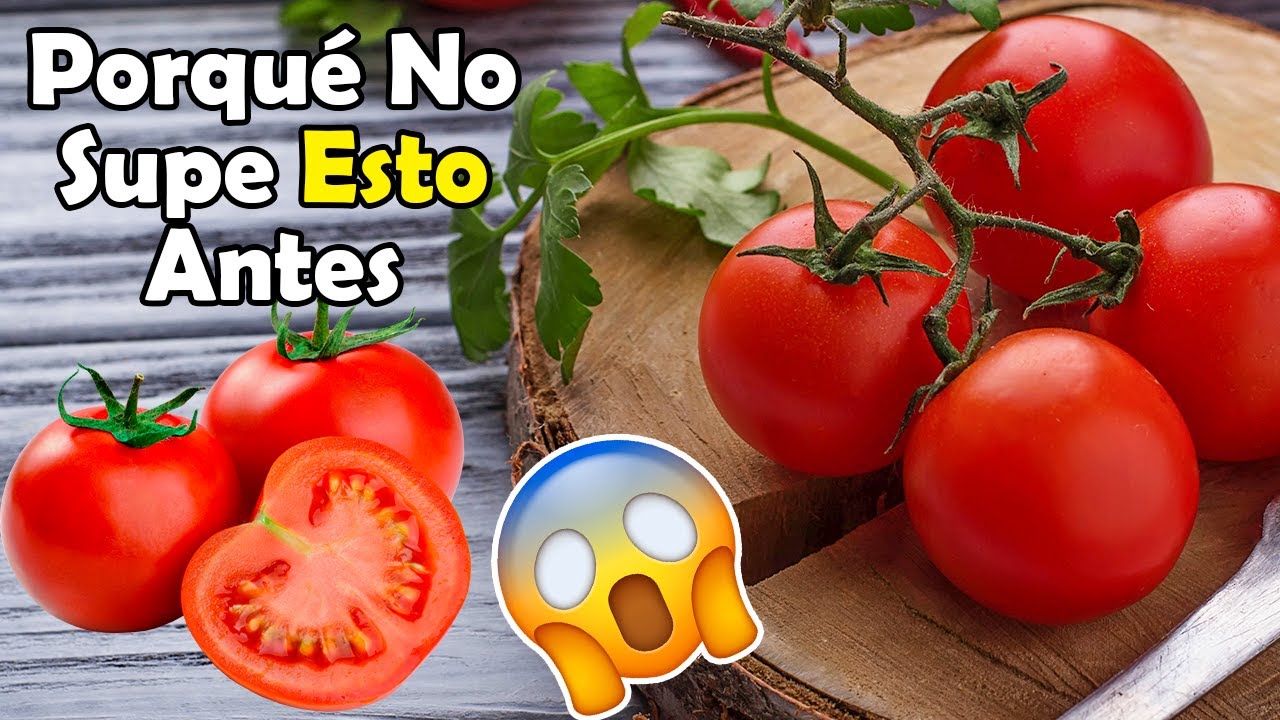 Watch Casi Nadie Sabe que el Tomate Cherry hace todo esto en tu cuerpo Now Casi Nadie Sabe que el Tomate Cherry hace todo esto en tu cuerpo