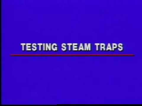 Steam trap testing