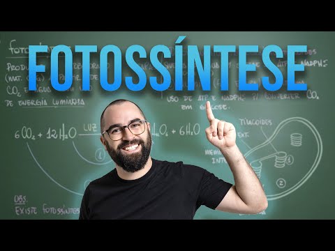 Cloroplasto e Fotossíntese - Aula 28 - Módulo 1 - Biologia Celular | Prof. Guilherme