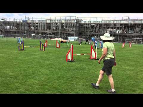 Tracy and Quimblee - Advanced Jumpers (16") - 2015-05-31