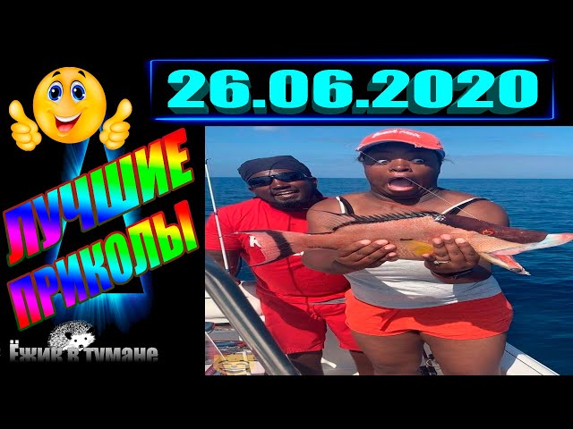 ПОДБОРКА Лучших Приколов Смешные Видео из ТИК ТОКА