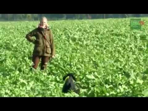 DJZ-TV: VGP - The Master Examination