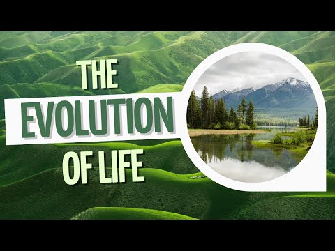 Evolutionary Biology From Simple Life To Complexity Shorts Evolution