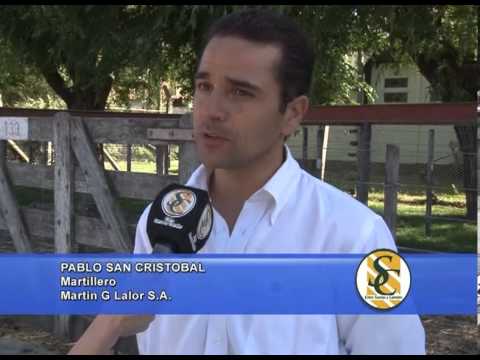 PABLO SAN CRISTOBAL   MARTILLERO