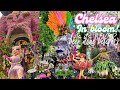 Chelsea In Bloom Flowers In Fashion Tour Swingin 60s Boutiques